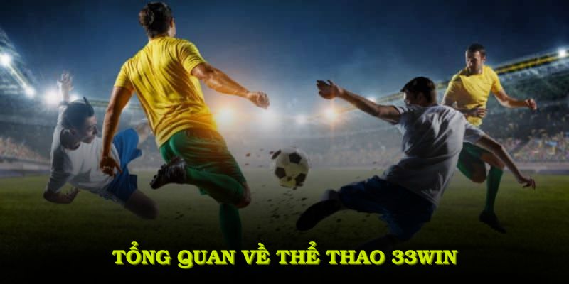 Tổng quan về thể thao 33WIN